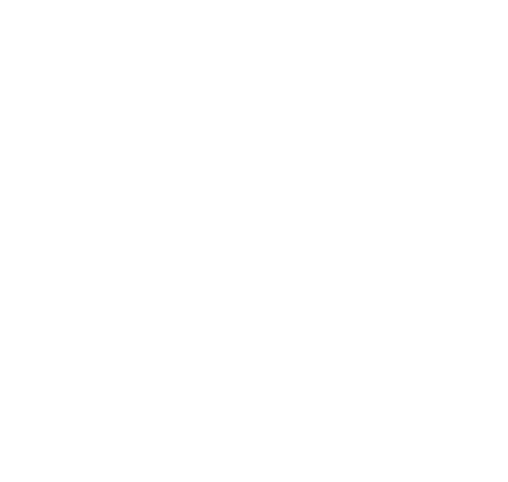 Lý Ngân LS Electric