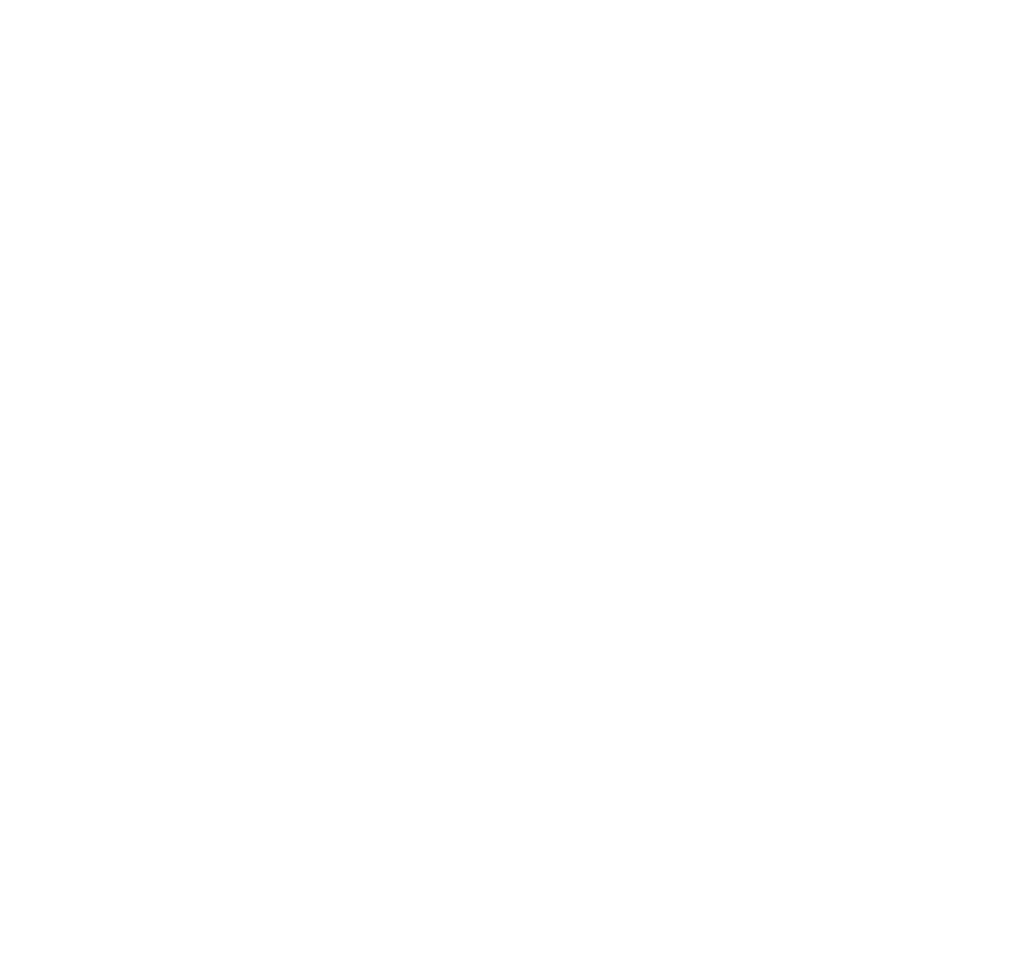 Lý Ngân LS Electric